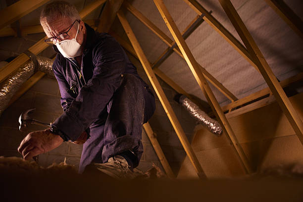 Best Best Insulation Companies  in Memphis, TN